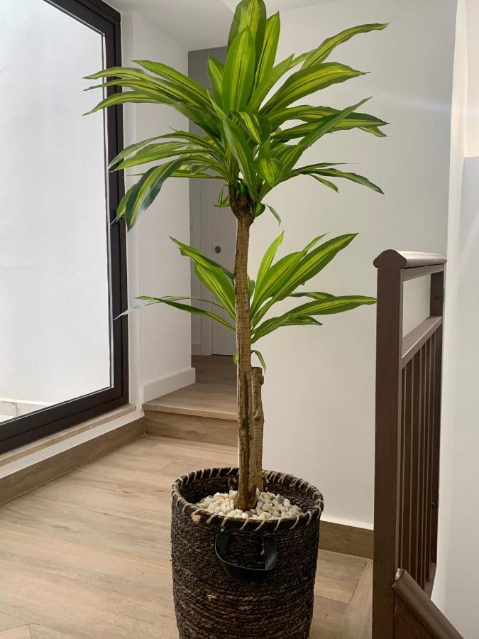 Puerta De Caceres Apartamento 2 Dış mekan fotoğraf