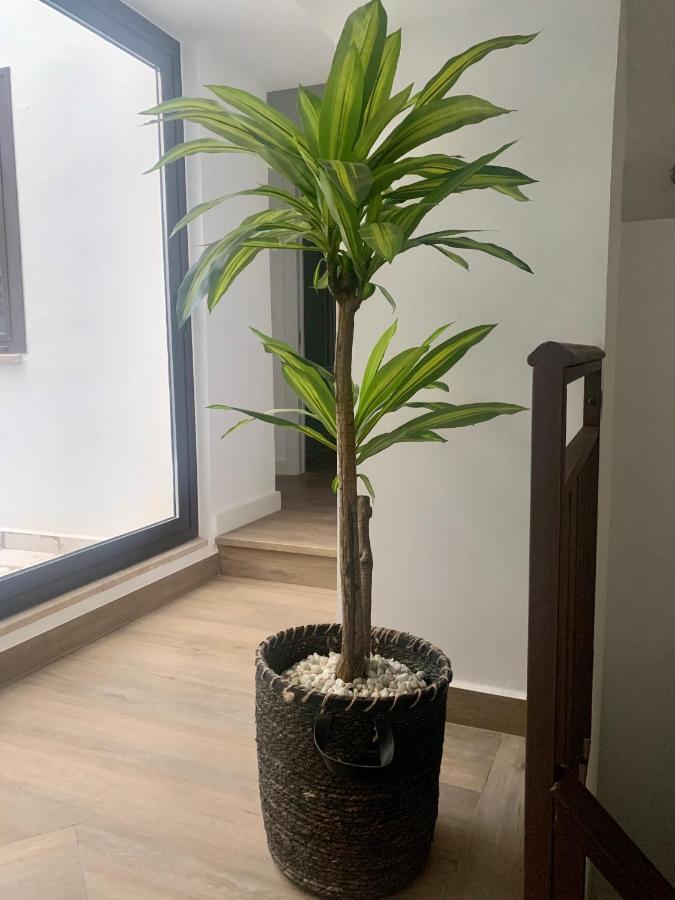 Puerta De Caceres Apartamento 2 Dış mekan fotoğraf